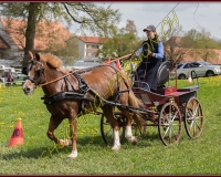 2POSIEUX 0218